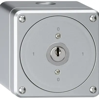 Interrupteur à clé AP robusto sans clapet 0/1P aluminium 
