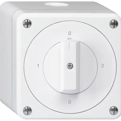 Interruttore rotativo AP robusto IP55 schema 2/1P bianco 
