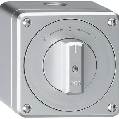 AP-Schwenktaster robusto IP55 aluminium Wechsler 