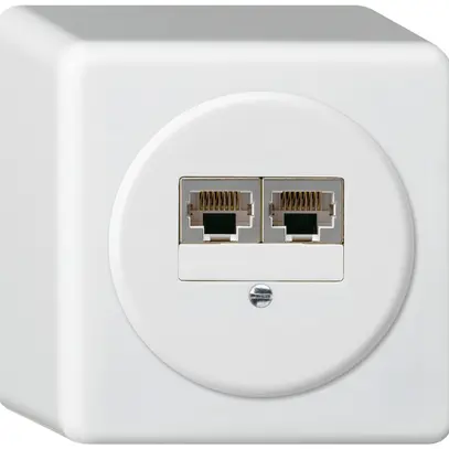 Scatola di raccordo AP basico 2×RJ45s bianco parallelo 