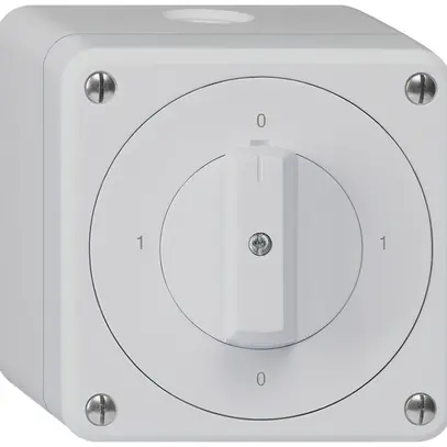 Interruttore rotativo AP robusto IP55 schema 0/2P grigio 