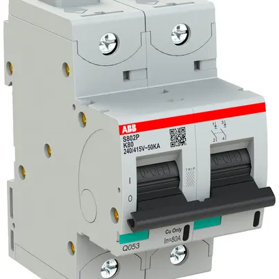 Disgiuntore ABB S802P-K80 2P 400V K-80A 50kA 3UM 