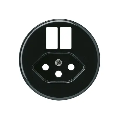Frontscheibe basico H f.Steckdose 2×USB & Typ 13 schwarz 