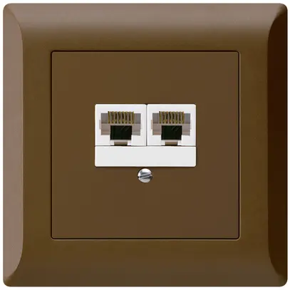 Boîte ENC kallysto.line 2×RJ45u brun parallèle 