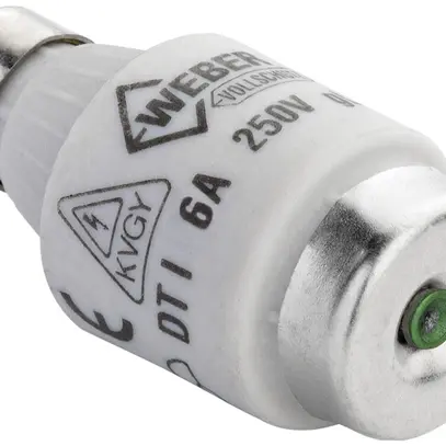 Fusibile D DTI 6A 250V ritardato protezione completa 