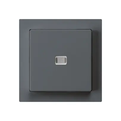 Contact à poussoir lumineux ENC kallysto AR/1P anthracite 