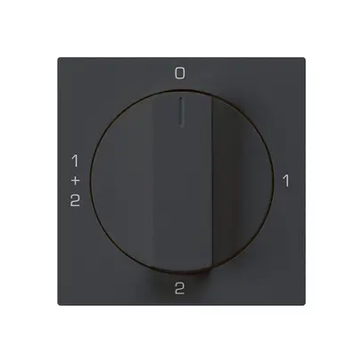 Inserto per interruttore rotativo kallysto 1/1L nero con manopola 
