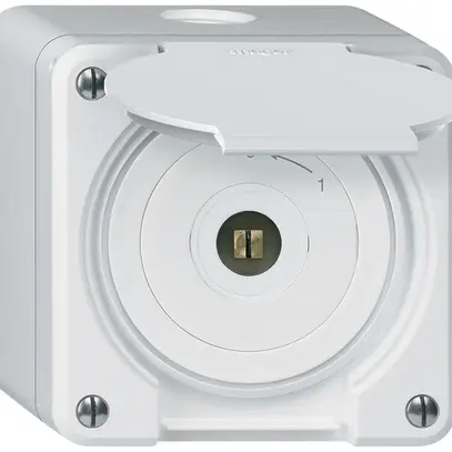Contact pivotant à clé carrée AP robusto IP55 blanc avec clapet 1P 