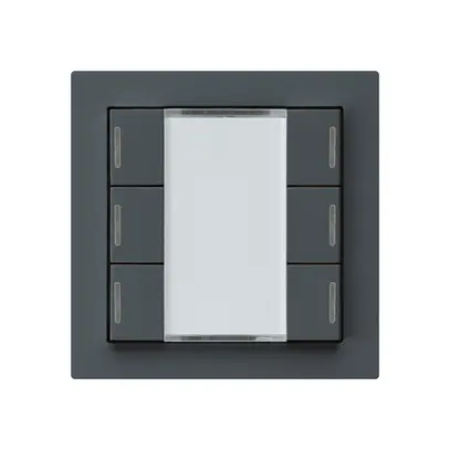 Poussoir ENC kallysto A KNX 6× LED RGB s/e-link anthracite 