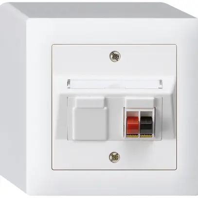 Prise AP audio kallysto 1×blanc borne à étrier pour 1 haut-parleur 