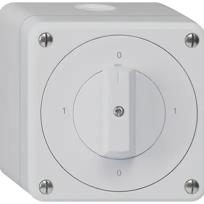 Interruttore rotativo AP robusto IP55 schema 0/1P grigio 