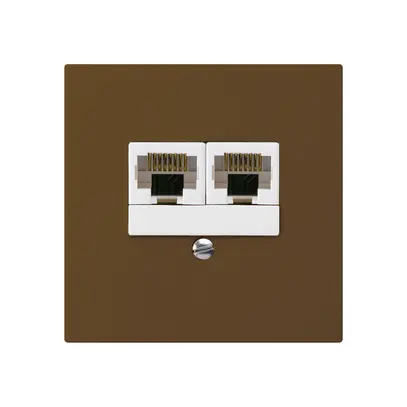 Boîte ENC kallysto 2×RJ45u brun parallèle 