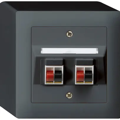 Presa AP audio kallysto 2×antracite morsetto per 2 altoparlante 