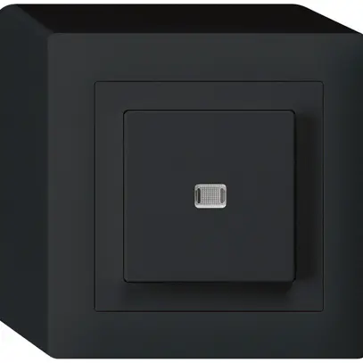 AP-Leuchtdrucktaster kallysto AR/2L schwarz 