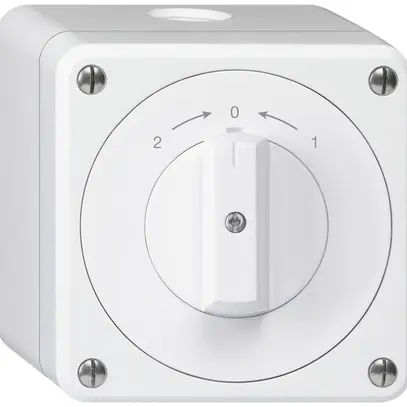 AP-Schwenktaster robusto IP55 weiss Wechsler 