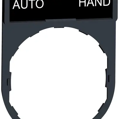Placchetta Schneider Electric Auto-Hand 