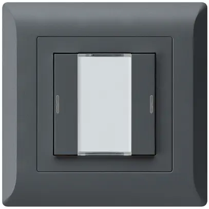 Poussoir ENC kallysto.line KNX 2×LED RGB s/e-link anthracite 