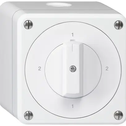 Interruttore rotativo AP robusto IP55 schema 3/1P bianco 