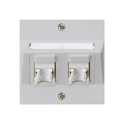 Prise ENC kallysto A cat.5e 2RJ45/u gris clair 