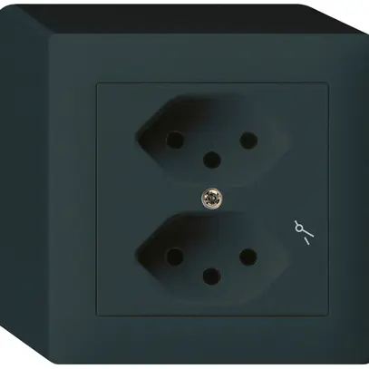 Prise AP kallysto 2×T13/1 noir 