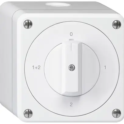 Interruttore rotativo AP robusto IP55 schema 1/1P bianco 