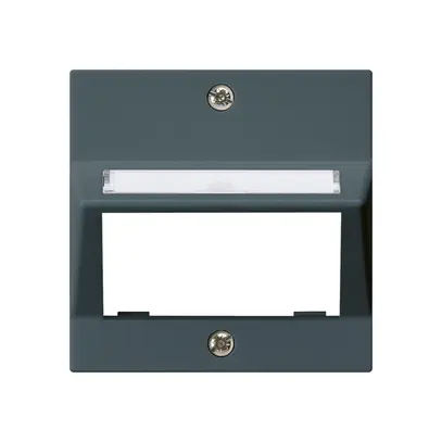Plaque frontale kallysto pour module multimédia sortie oblique duroplast an 