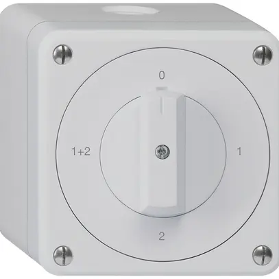 Interrupteur rotatif AP robusto IP55 schéma 1/1P gris 
