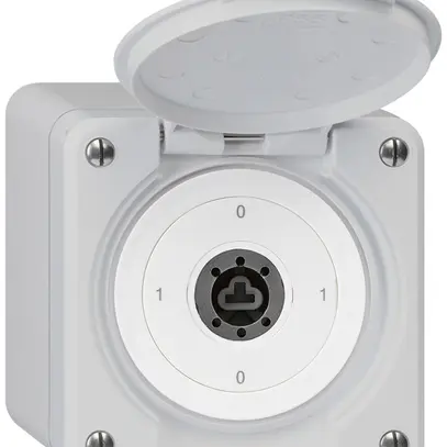 Interrupteur à clé AP robusto IP55 avec clapet sans cylindre S0/1P gris 