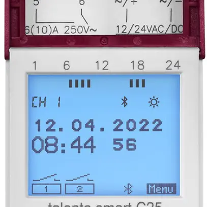 Timer digitale AMD talento smart C25, 2 canali 12/24VUC 