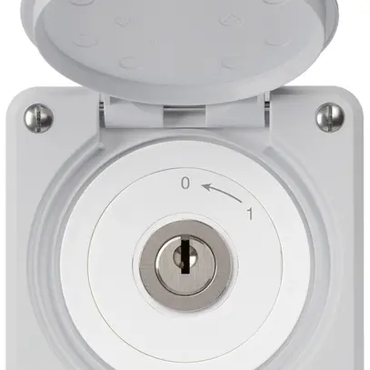 Contatto rotativo a chiave INC robusto IP55 grigio con coperchio 2P 
