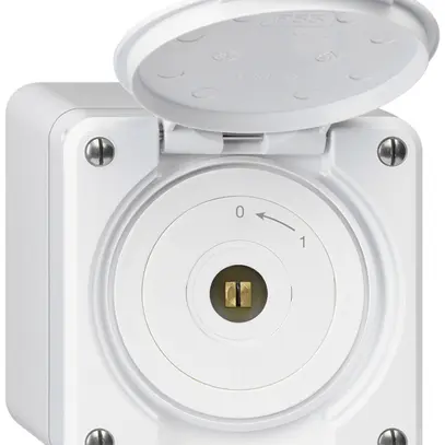 Contact pivotant à clé carrée AP robusto IP55 blanc avec clapet 1P 