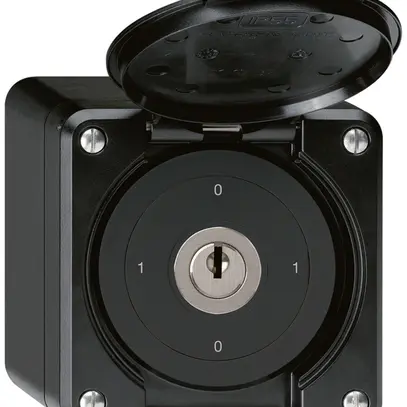 Interrupteur à clé AP robusto IP55 avec clapet S0/1P noir 