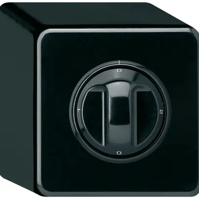 Interruttore rotativo AP basico 2/1L nero con manopola 