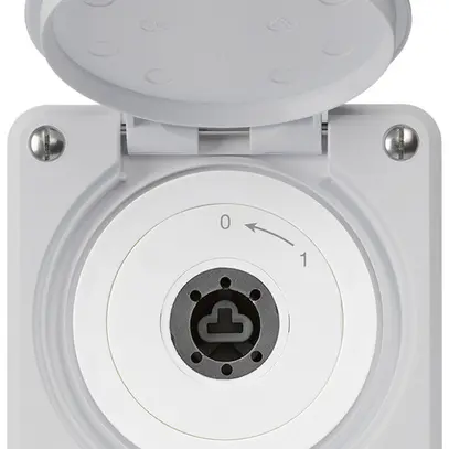 Contact pivotant à clé ENC robusto IP55 gris avec clapet sans cylindre 2P 