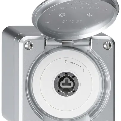 Contact pivotant à clé AP robusto IP55 aluminium avec clapet sans cylindre 1P 