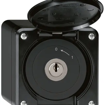 Contact pivotant à clé AP robusto IP55 noir avec clapet 2P 