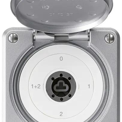 Interruttore a chiave INC robusto IP55 copertura senza cilindro S1/1P alluminio 