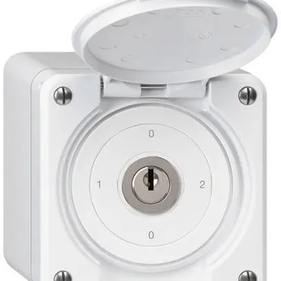 Interruttore a chiave con copertura AP robusto IP55 S2/1P bianco 