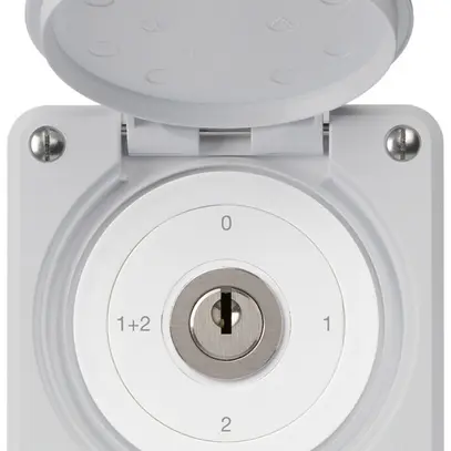 UP-Schlüsselschalter robusto IP55 mit Klappdeckel S1/1P grau 