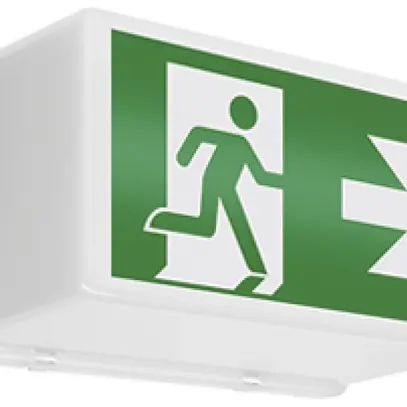 Lampada di emergenza ESYLUX SLB LED, 20×LED, 250×150×135mm 