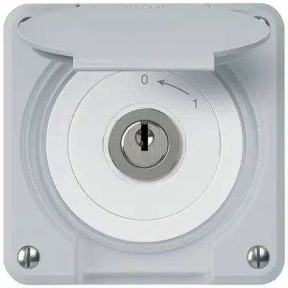 Contact pivotant à clé ENC robusto IP55 gris avec clapet 1P pour combinaison 