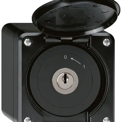Contact pivotant à clé AP robusto IP55 noir avec clapet 1P 