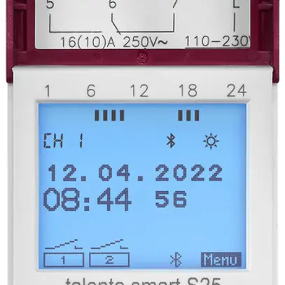 Timer digitale AMD talento smart S25, 2 canali 110/230VAC 