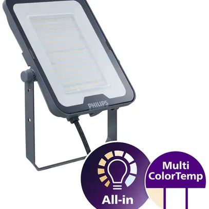 LED-Strahler Philips Ledinaire 65W 7350lm 830/840/865 IP65 92°×52° 286×203 