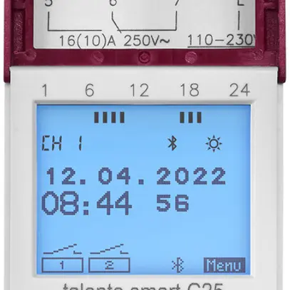 Timer digitale AMD talento smart C25, 2 canali 110/230VAC 