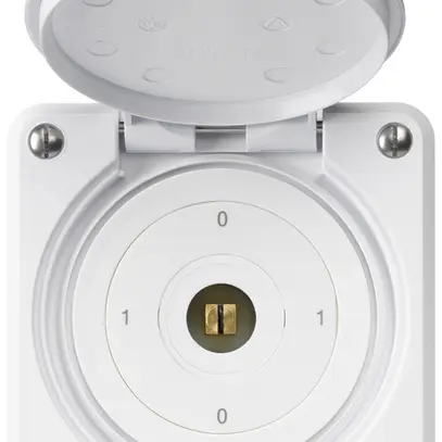 Interruttore a chiave quadrata INC robusto IP55 con coperchio S0/3P bianco 