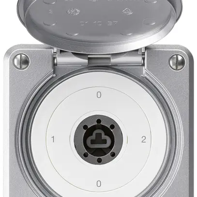 Interruttore a chiave INC robusto IP55 copertura senza cilindro S2/1P alluminio 