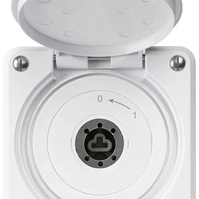 Contact pivotant à clé ENC robusto IP55 blanc avec clapet sans cylindre 2P 