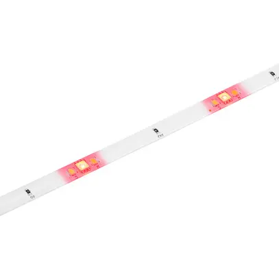 Ruban lumineux LED Sylvania SylStrip 220…240V 2.5W/m RGBW VAR 2250mm 
