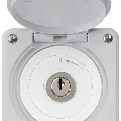 Contact pivotant à clé ENC robusto IP55 gris avec clapet 1P 